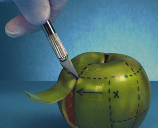 网页免费发手机号